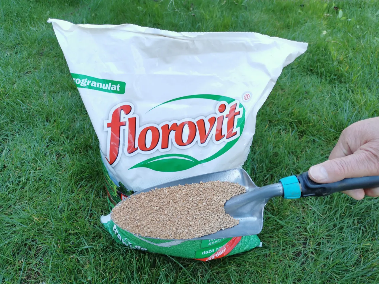 Zdjęcie Jaki nawóz na flo – najlepsze wybory dla zdrowych i pięknych kwiatów