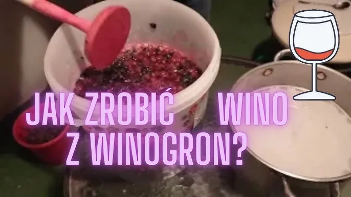 Zdjęcie Jak się robi wino z winogrona - proste kroki do idealnego trunku