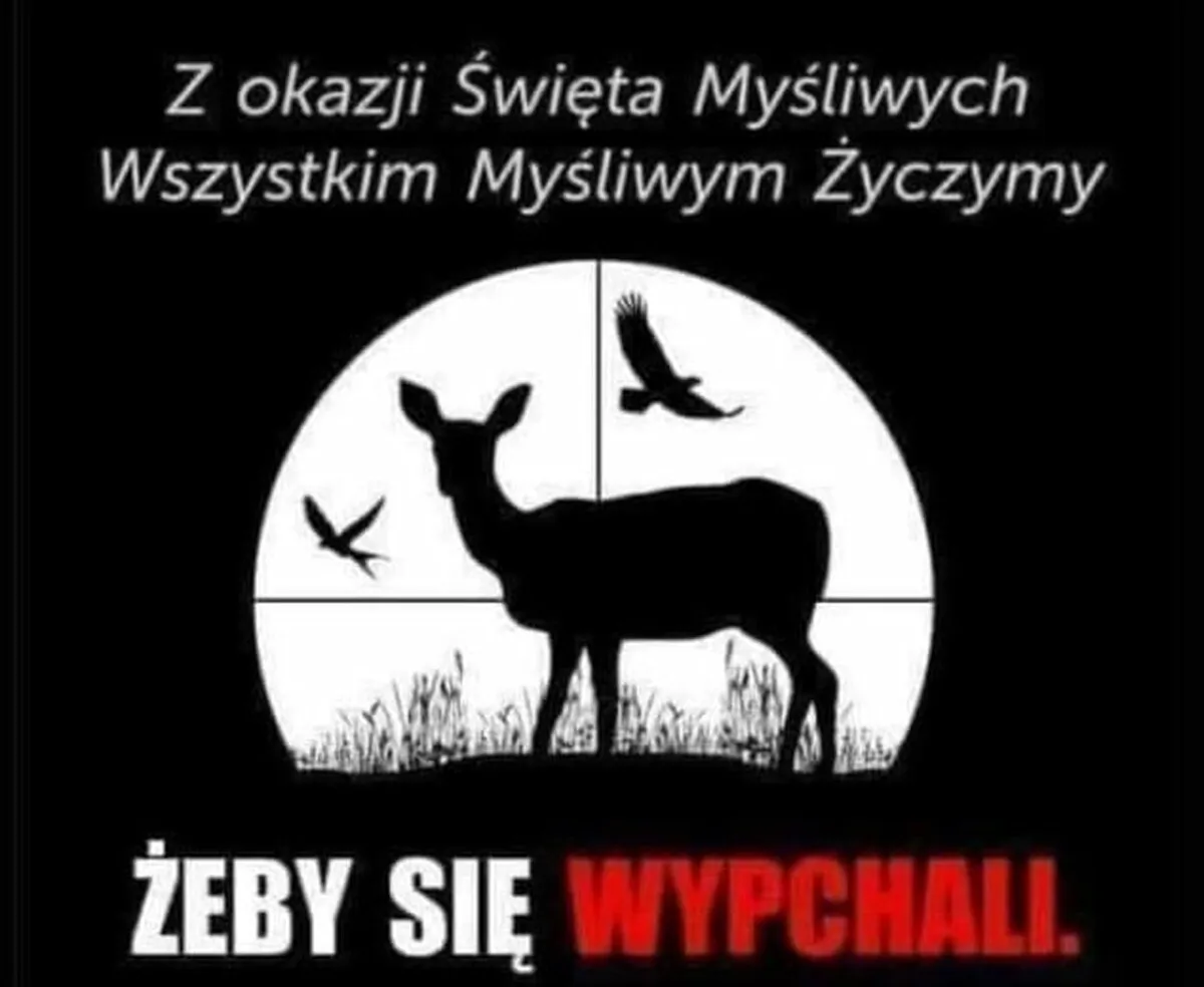 Zdjęcie Czego życzyć myśliwym? Wyjątkowe życzenia na każdą okazję