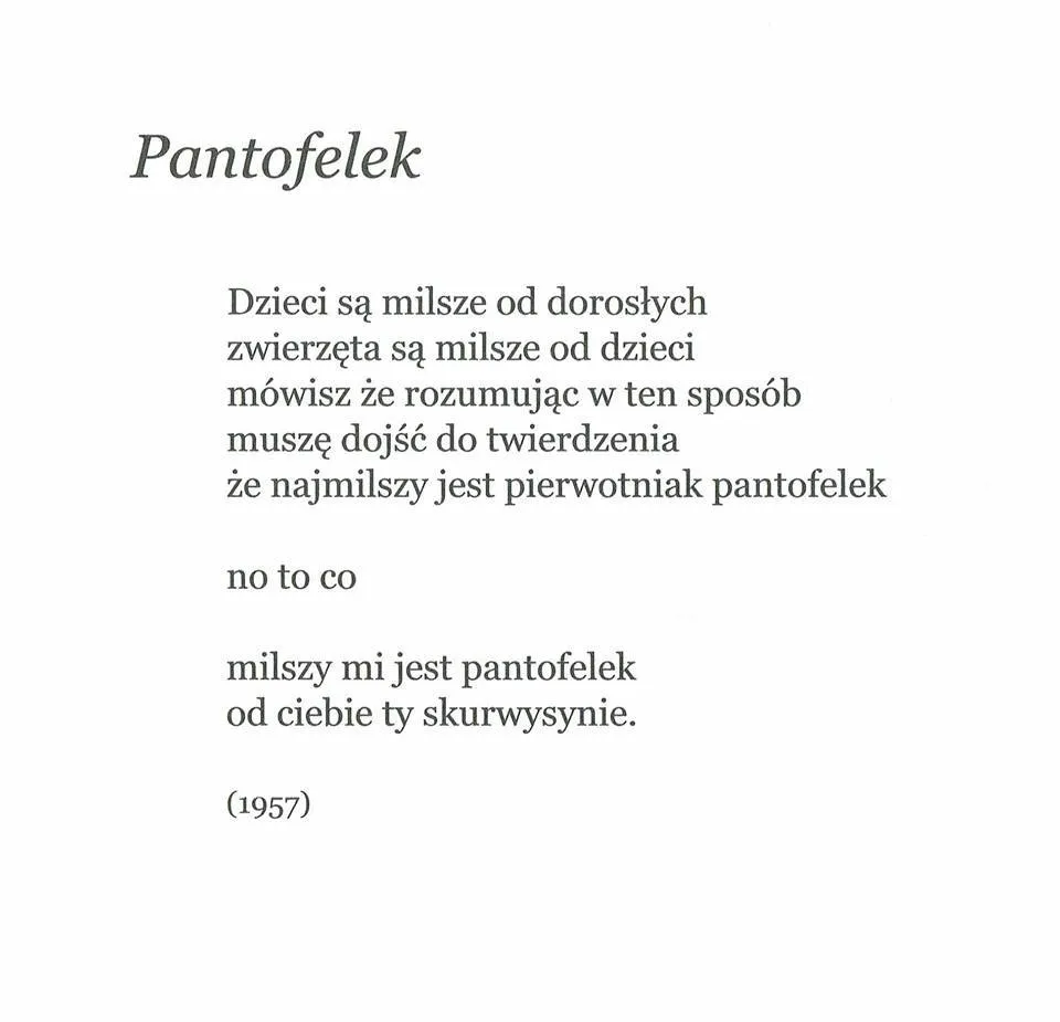 Zdjęcie Analiza wiersza Pantofelek – ironia i manipulacja w poezji Bursy
