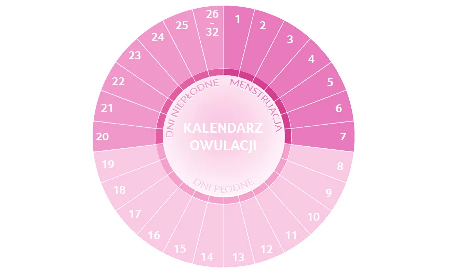 Zdjęcie Jak obliczyć dni płodne w czasie menopauzy i uniknąć niechcianej ciąży