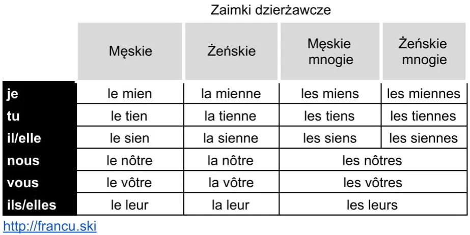 Zdjęcie Zaimki dzierzawcze w języku francuskim – jak ich używać poprawnie?