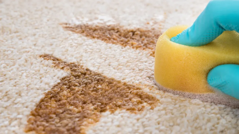 Zdjęcie Jak wywabić plamy z herbaty: 6 skutecznych metod i porad