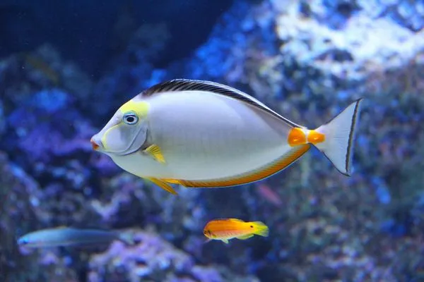 Zdjęcie Nowe oceanarium w Kołobrzegu: co warto wiedzieć o tej atrakcji?