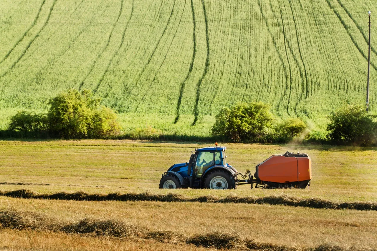 Zdjęcie Co można na działce rolnej? Odkryj możliwości budowy i inwestycji