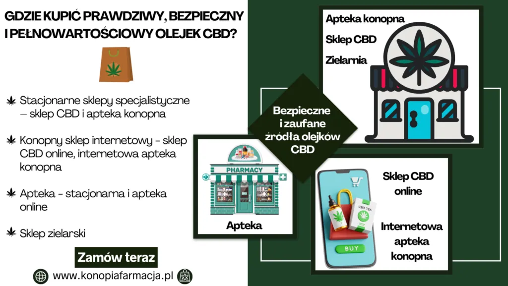 Zdjęcie Gdzie kupić olej konopny w Polsce? Najlepsze miejsca i oferty
