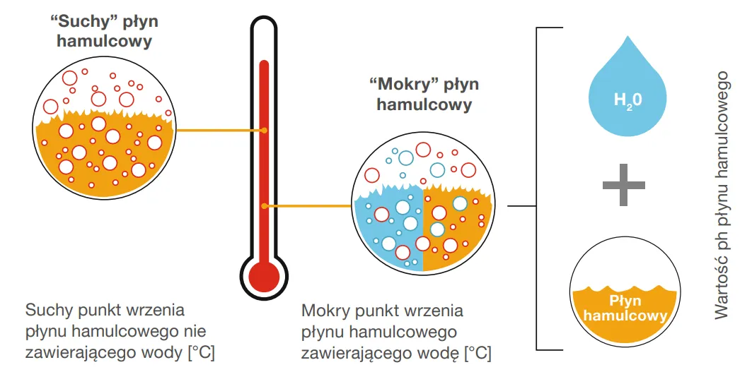 Zdjęcie DOT 5.1 Motul: Wszystko, co musisz wiedzieć o płynie hamulcowym i jego zaletach