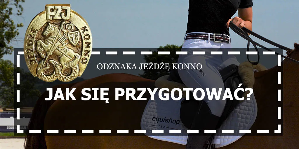 Zdjęcie Co trzeba umieć na jeżdżę konno? Kluczowe umiejętności i wskazówki