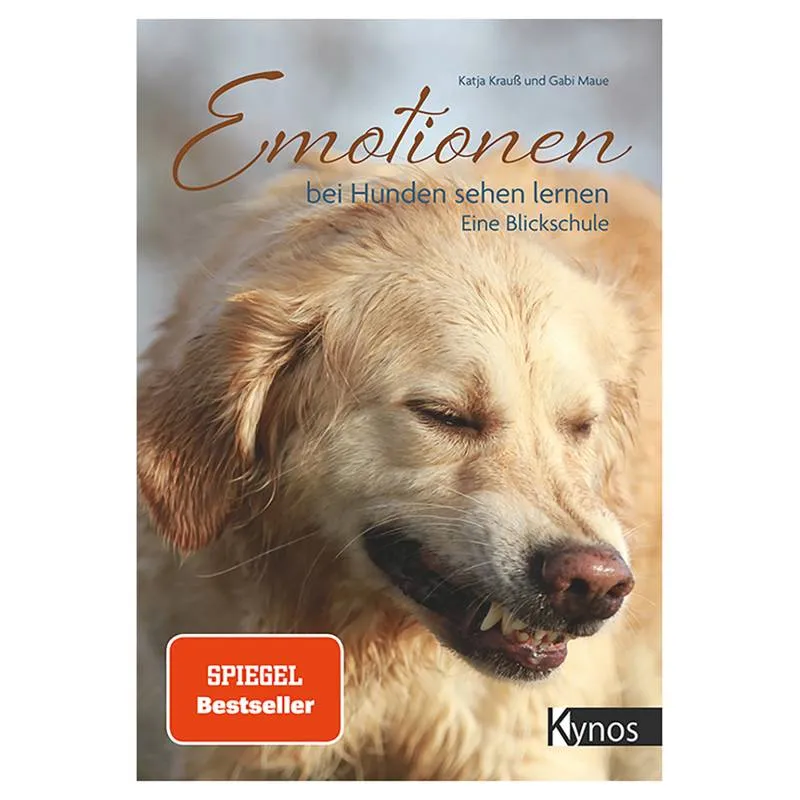 Zdjęcie Emotionen bei Hunden sehen lernen: So erkennen Sie ihre Gefühle