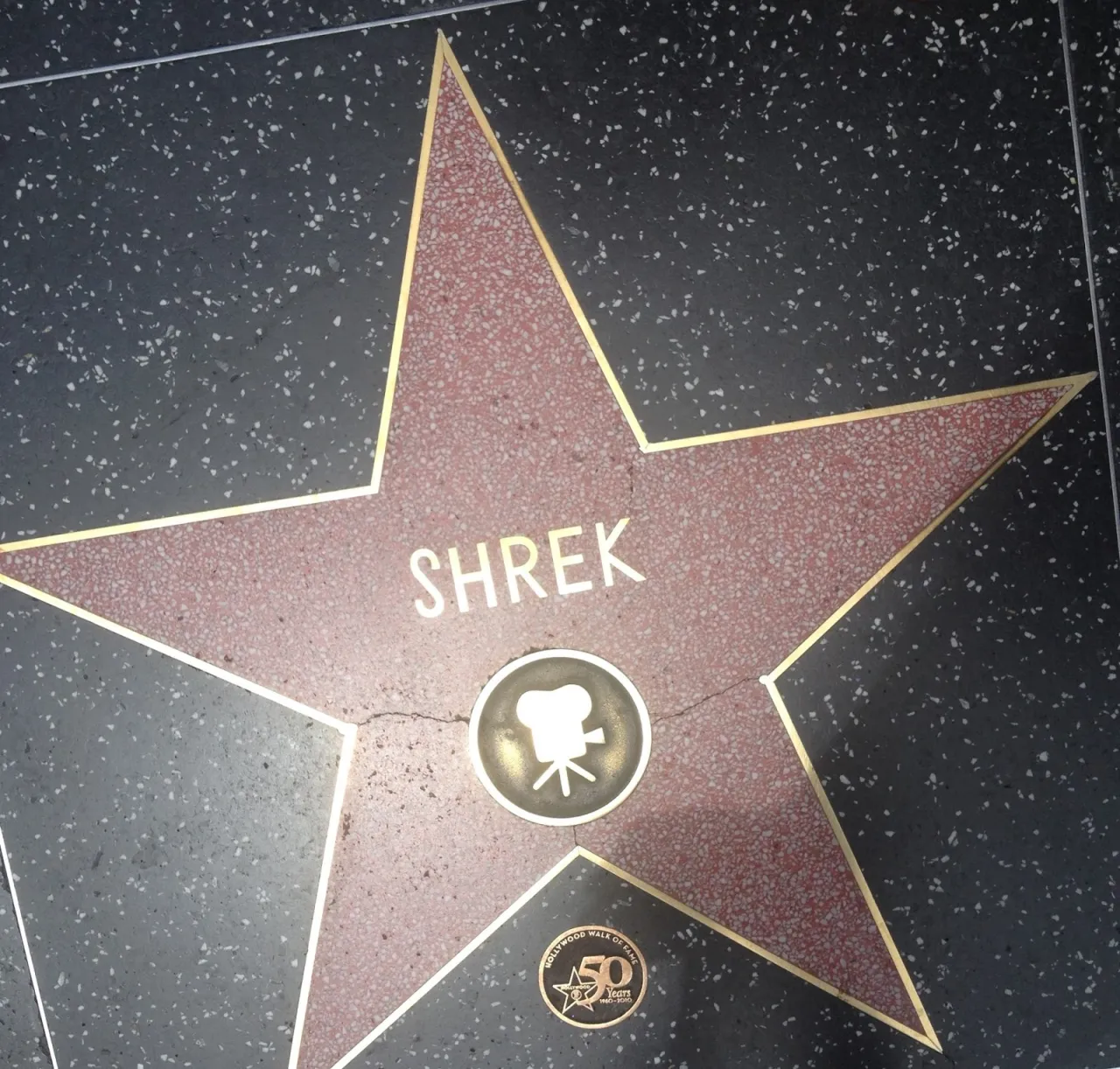 Zdjęcie Kto ma gwiazdę na ścianie w Hollywood? Zaskakujące fakty o gwiazdach