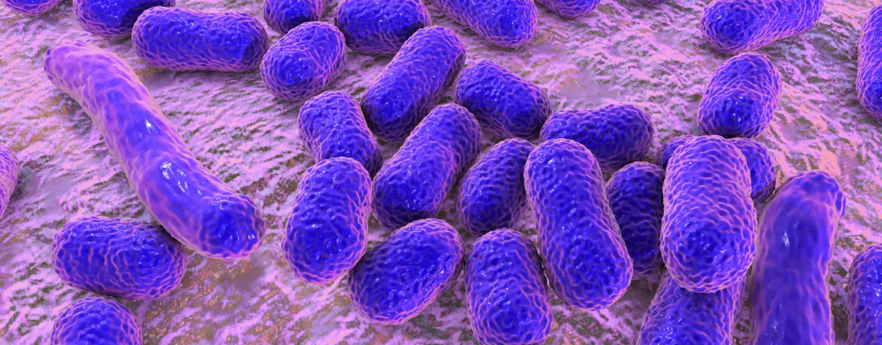 Zdjęcie Objawy Acinetobacter baumannii: jak rozpoznać i leczyć niebezpieczną infekcję?