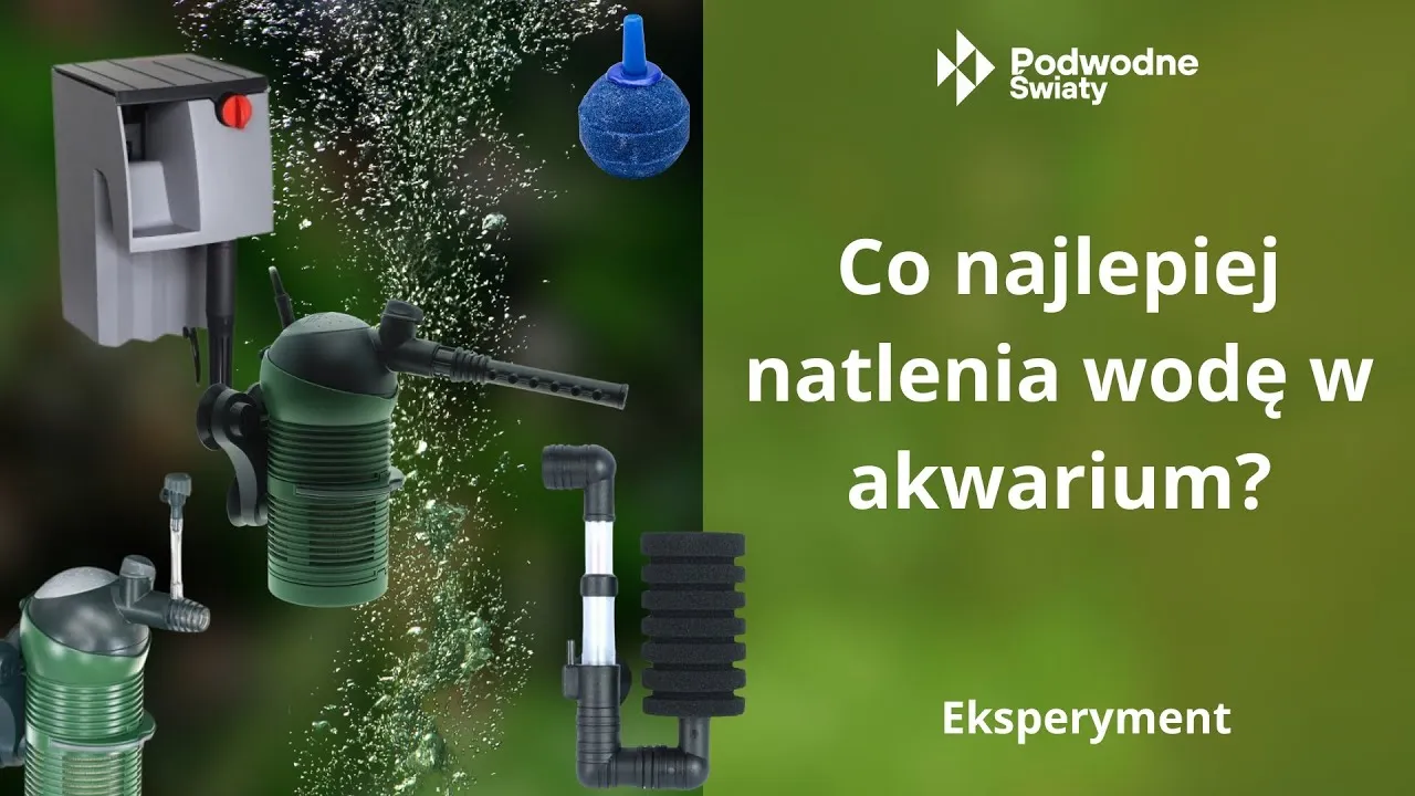 Zdjęcie Jak ustawić deszczownicę w akwarium, aby uniknąć problemów z wodą