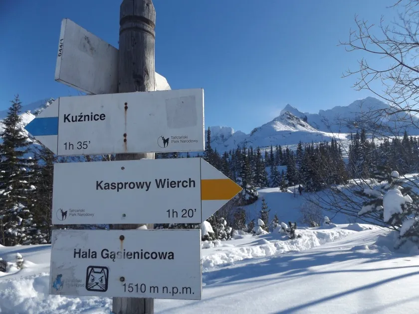 Zdjęcie Hala Gąsienicowa zimą: Magiczny świat Tatr w śnieżnej szacie