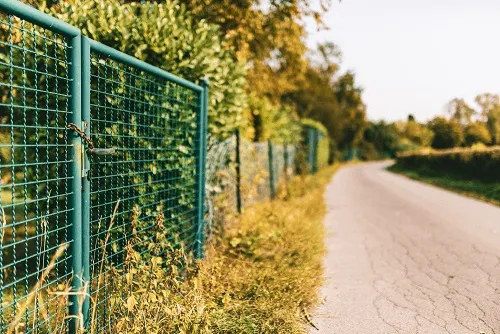 Zdjęcie Czy na ogrodzenie z siatki trzeba mieć pozwolenie? Sprawdź przepisy