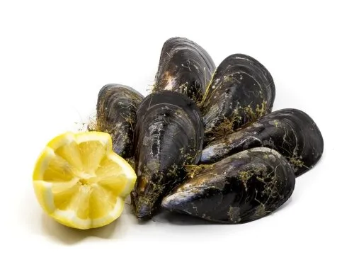 Zdjęcie Mejillones propiedades y contraindicaciones: beneficios y riesgos ocultos