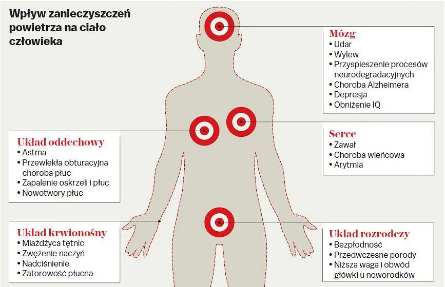 Zdjęcie Co powoduje smog i jak wpływa na zdrowie oraz środowisko?