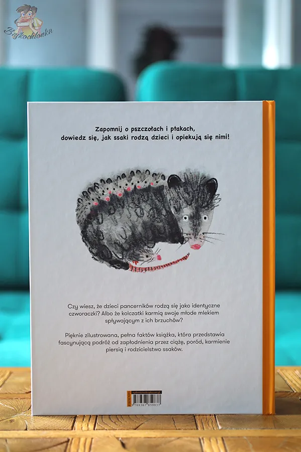 Zdjęcie Jak rozmnażają się ssaki? Zaskakujące fakty o ich rozmnażaniu