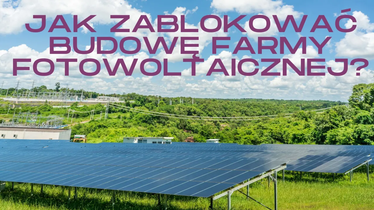 Zdjęcie Jak skutecznie przeciwdziałać budowie farmy fotowoltaicznej