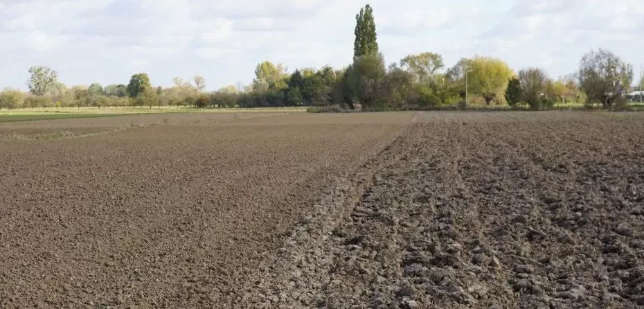Zdjęcie Jaki nawóz pod warzywniak - uniknij błędów i zwiększ plony