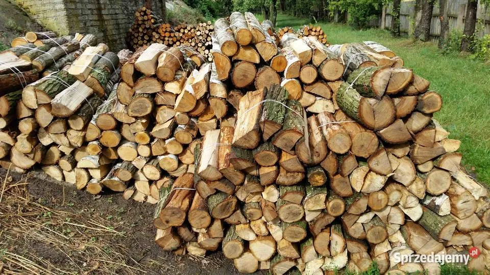 Zdjęcie Ile kosztuje drzewo do kominka? Ceny i porady zakupowe w Polsce