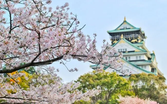 Zdjęcie Kiedy najlepiej jechać do Japonii, aby uniknąć tłumów i cieszyć się pięknem natury