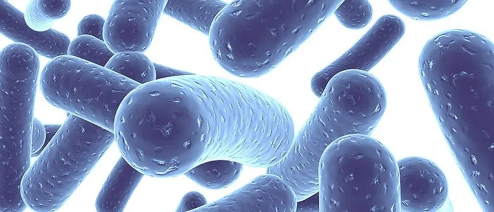 Zdjęcie Probiotyk LGG: 7 zastosowań które cię zaskoczą