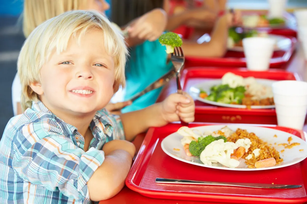 Zdjęcie Wsad do kotła – co to jest i jakie ma znaczenie dla kosztów posiłków?