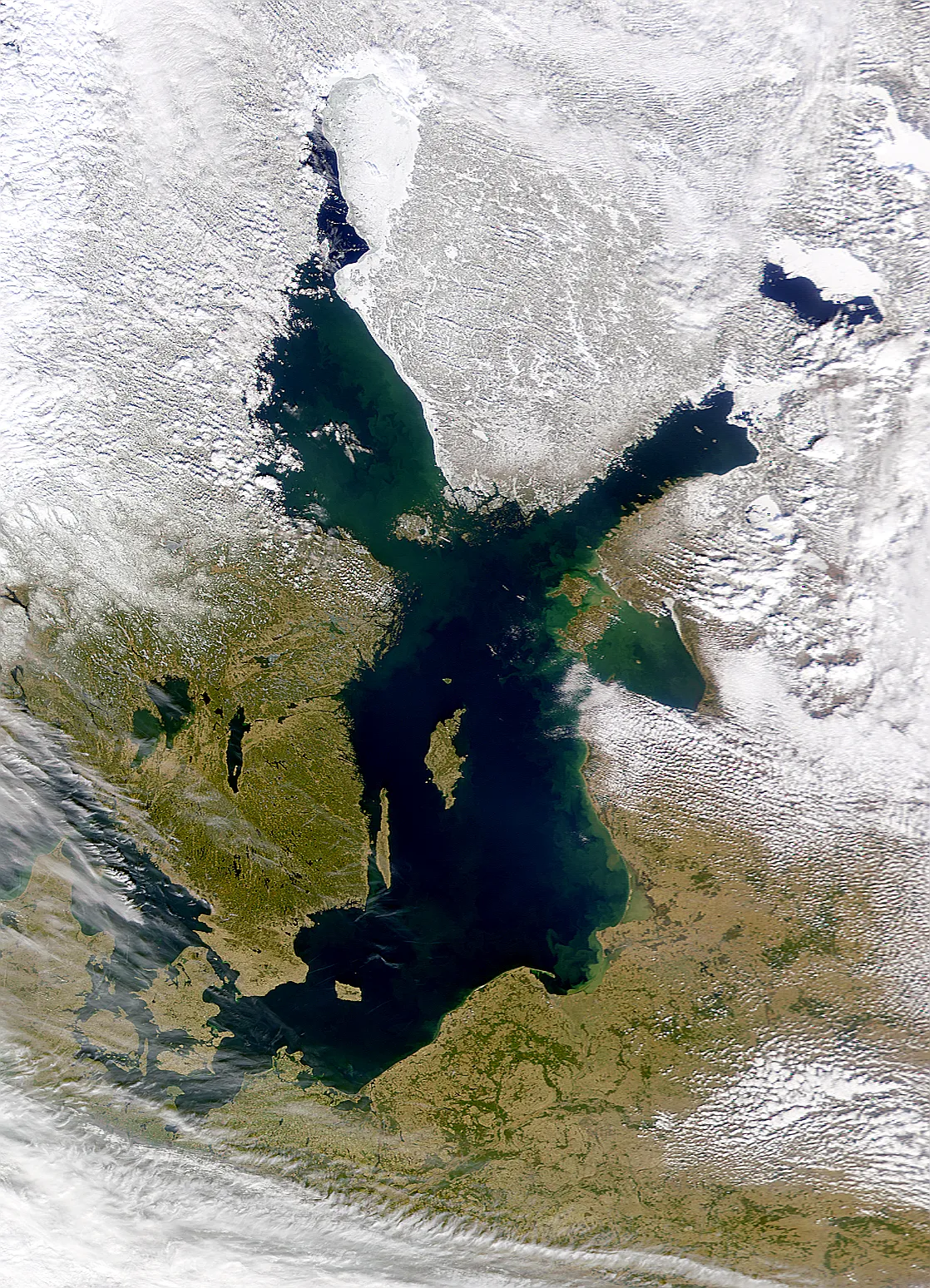 Zdjęcie Nazwa oceanu, którego częścią jest morze bałtyckie – zaskakujące fakty