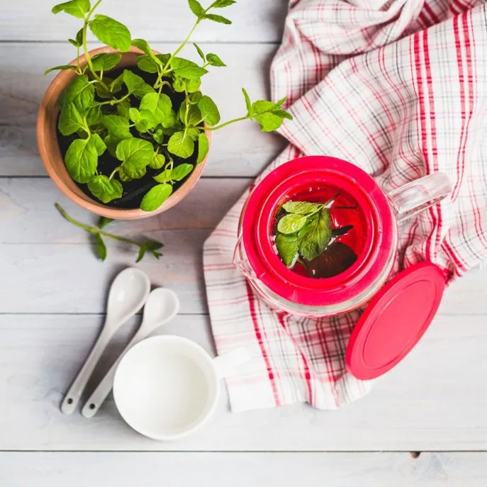 Zdjęcie Jak zaparzać herbatę, aby uzyskać idealny smak i aromat?