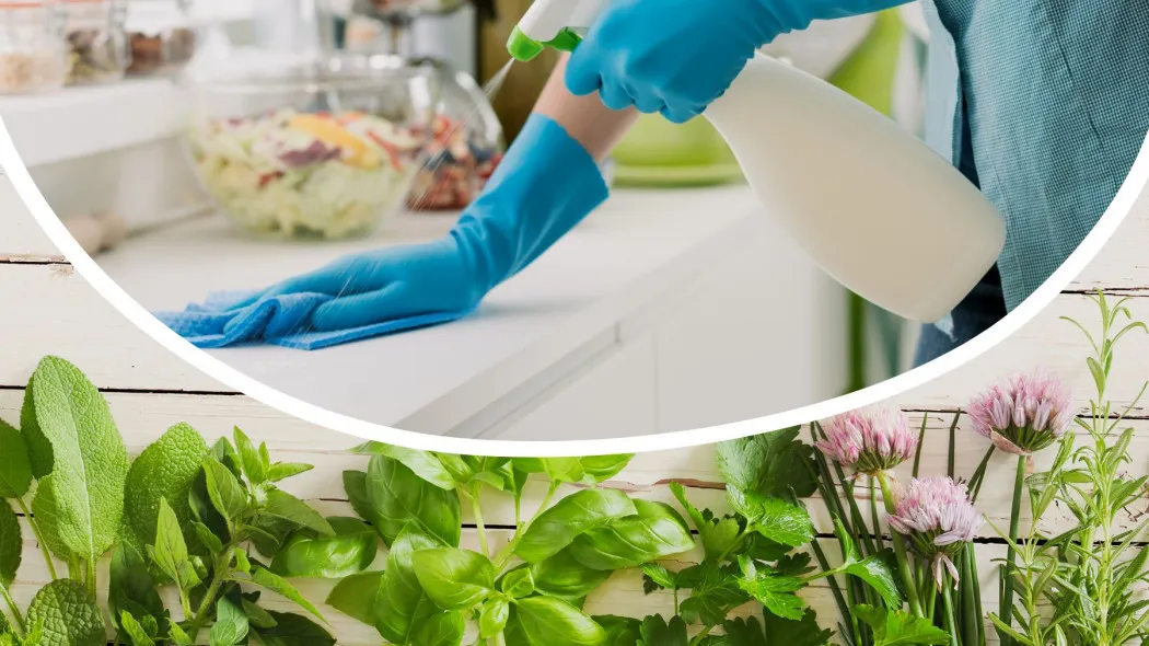 Zdjęcie Skuteczne sposoby jak wyczyścić piekarnik: 5 domowych trików bez chemii
