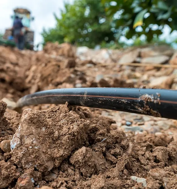 Zdjęcie Riego subterráneo: optimiza el agua y mejora tus cultivos