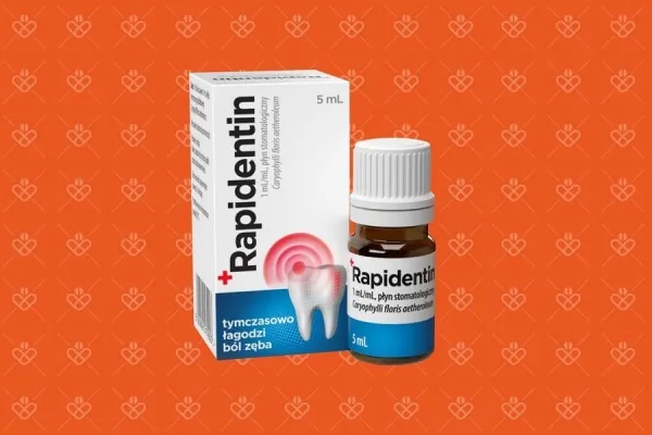 Zdjęcie Co najlepiej na ból zęba? Skuteczne metody na szybkie ulgi