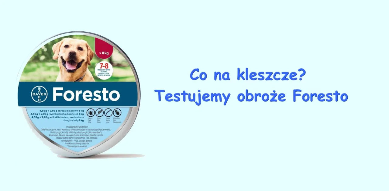 Zdjęcie Obroża Foresto czy Kiltix - która lepiej chroni przed kleszczami?