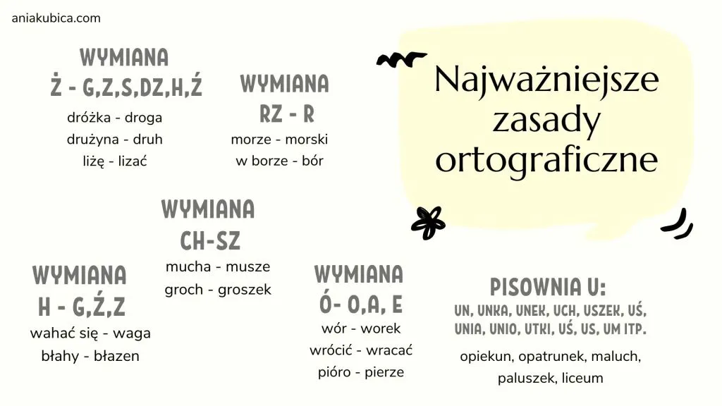 Zdjęcie Jak się pisze coraz i co raz? Różnice, błędy i praktyczne wskazówki