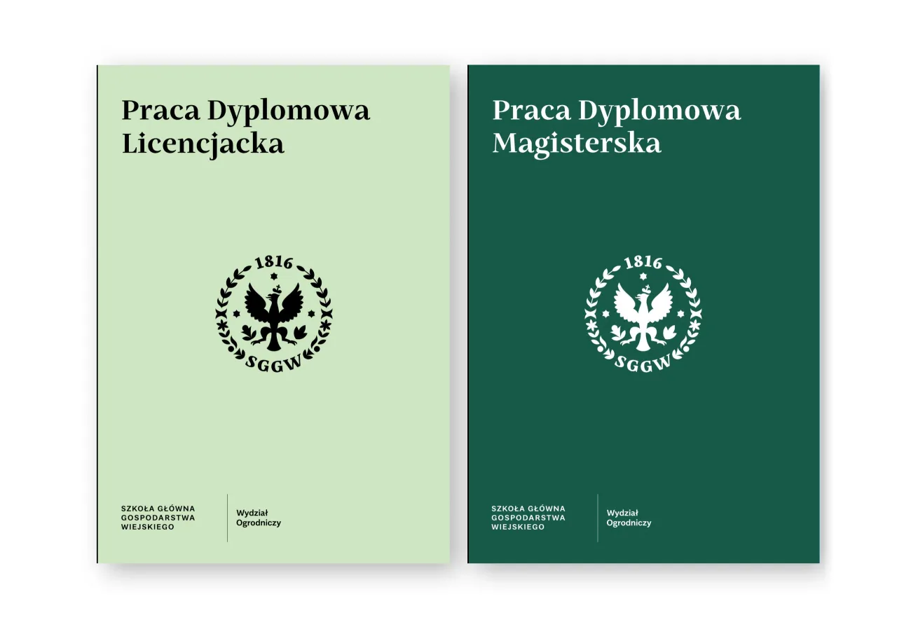 Zdjęcie Czy drukować pracę dyplomową dwustronnie czy jednostronnie? Ważne wybory