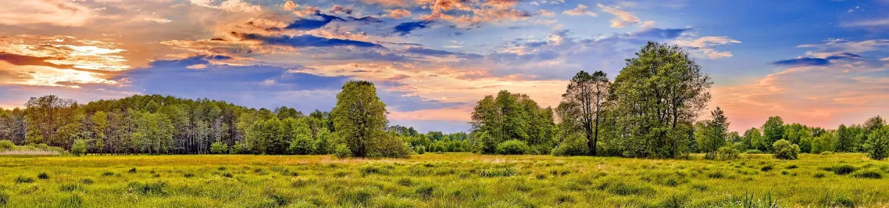 Zdjęcie Gdzie leży Kampinoski Park Narodowy? Odkryj jego lokalizację blisko Warszawy