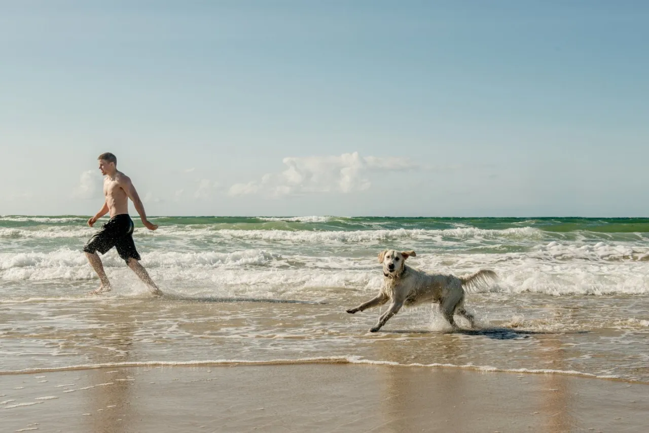 Zdjęcie Mit Hund nach Dänemark: Wichtige Tipps und Anforderungen für die Reise