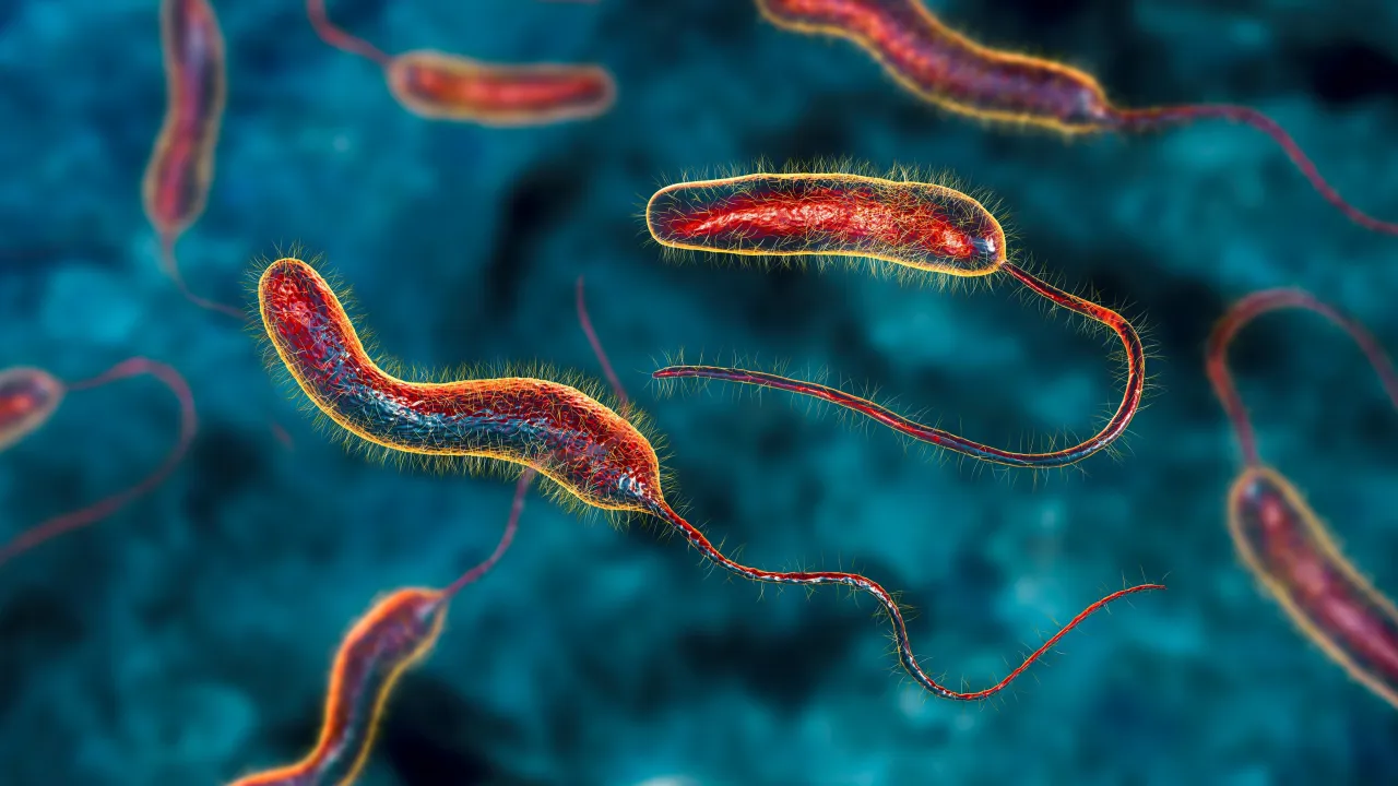 Zdjęcie Czy cholera to grzech? Zaskakujące spojrzenie na moralne aspekty