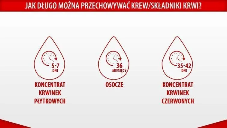 Zdjęcie Jak często oddawać krew w RCKiK? Zasady i terminy donacji