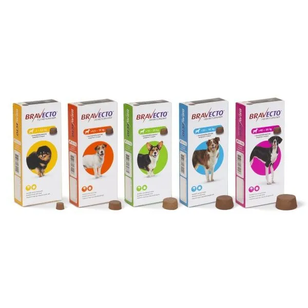 Zdjęcie Was kostet Bravecto für Hunde beim Tierarzt? Preise und Tipps für Sparfüchse