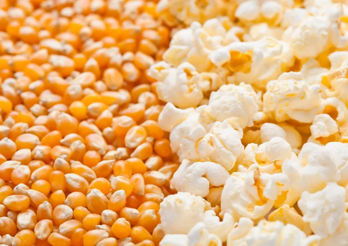 Zdjęcie Ile kcal ma popcorn karmelowy? Zaskakujące różnice w kaloriach!