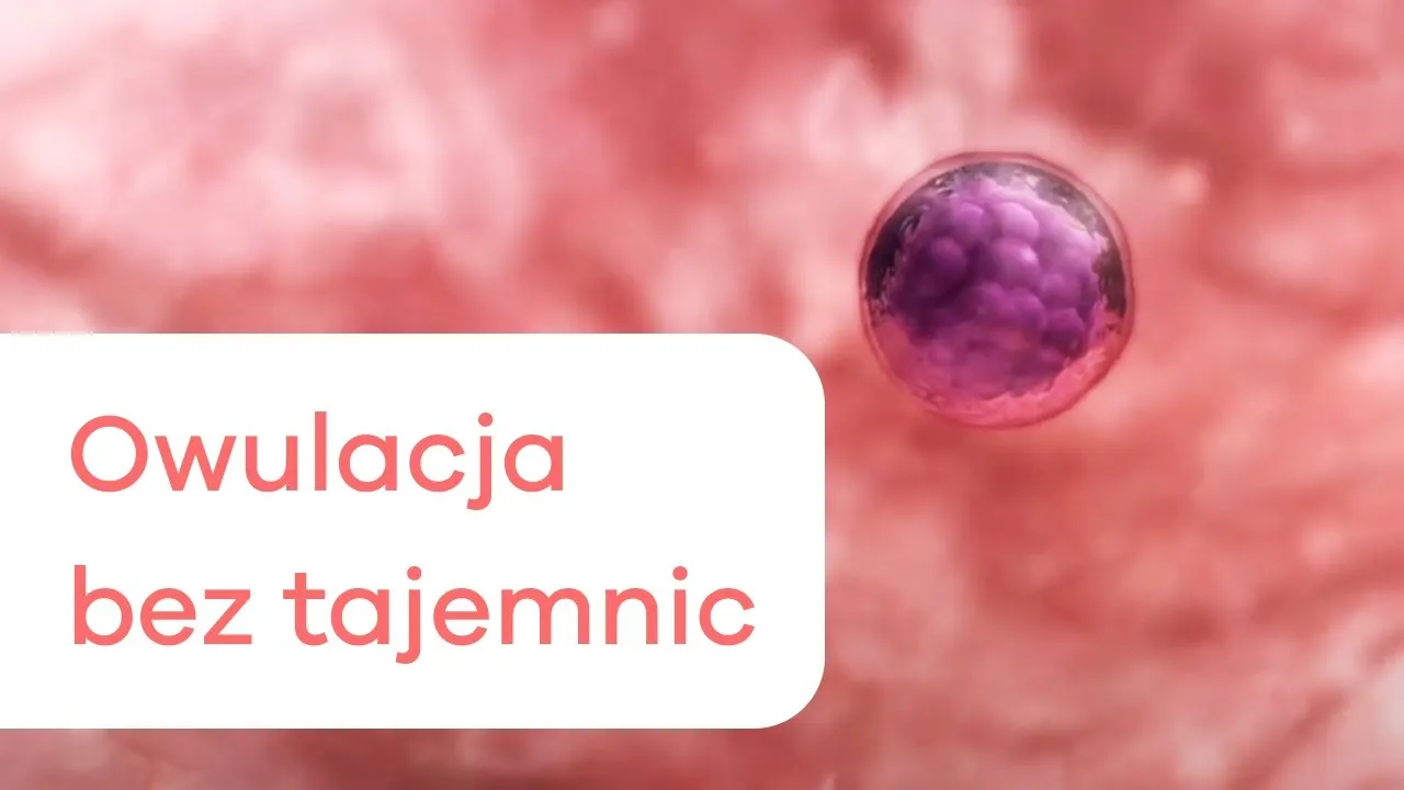 Zdjęcie Jak sprawdzić czy była owulacja – skuteczne metody i porady