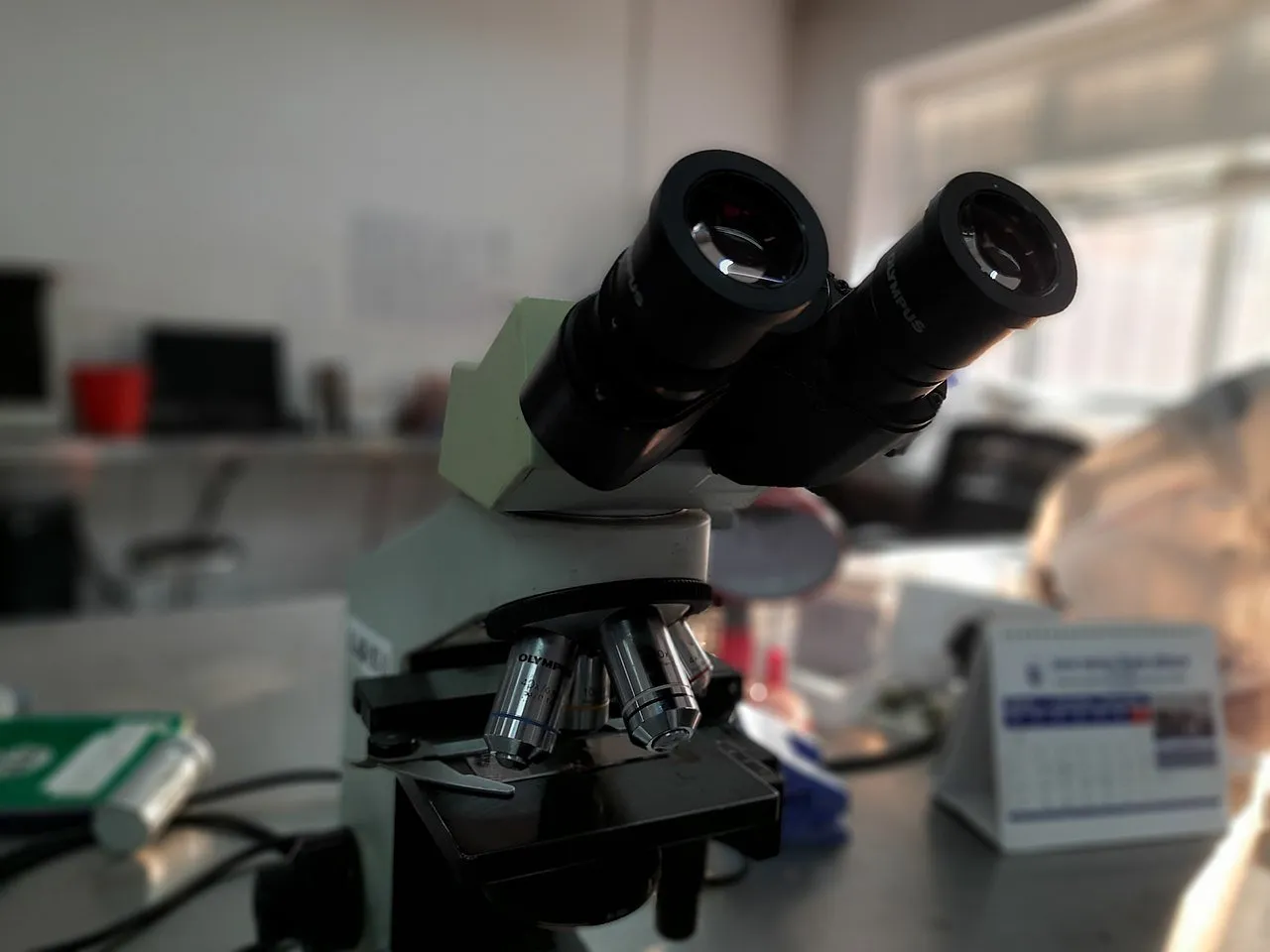 Zdjęcie Quién fue el científico que inventó el microscopio y su impacto
