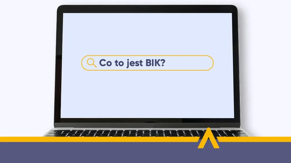 Zdjęcie Bik co to - jak biuro informacji kredytowej wpływa na twoje finanse