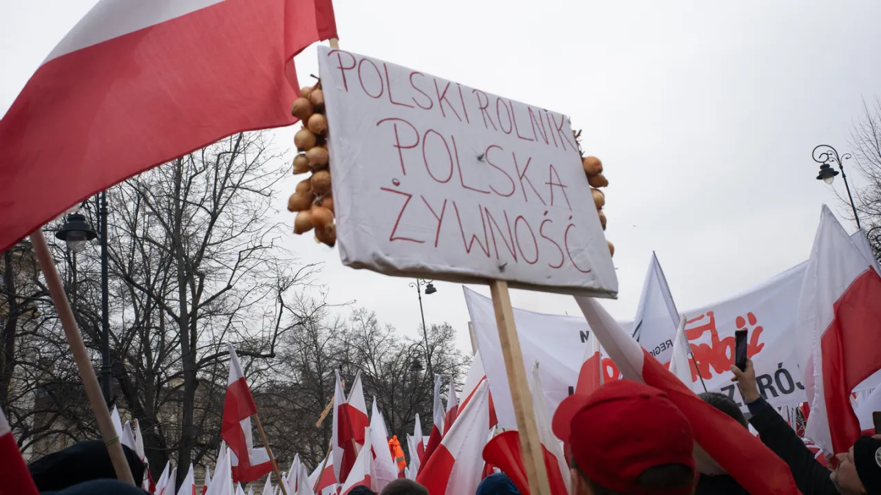 Zdjęcie Kto to jest aktywista i jak jego działania zmieniają świat?