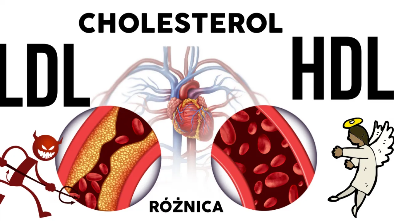Zdjęcie HDL jaki to cholesterol i jego kluczowe znaczenie dla zdrowia serca