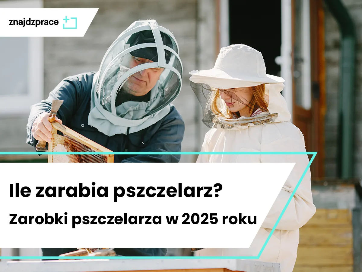 Zdjęcie Ile można zarobić na pasiece? Sprawdź, czy to się opłaca