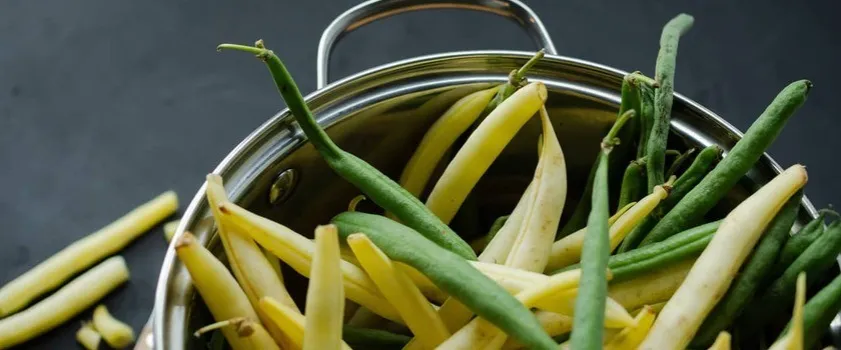 Zdjęcie Czy fasolka szparagowa tuczy? Odkryj jej wpływ na dietę odchudzającą