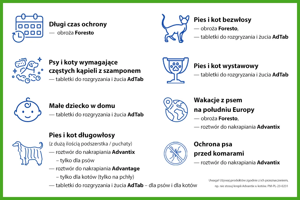 Zdjęcie Ochrona szczeniaka przed kleszczami: Bezpieczne metody i porady