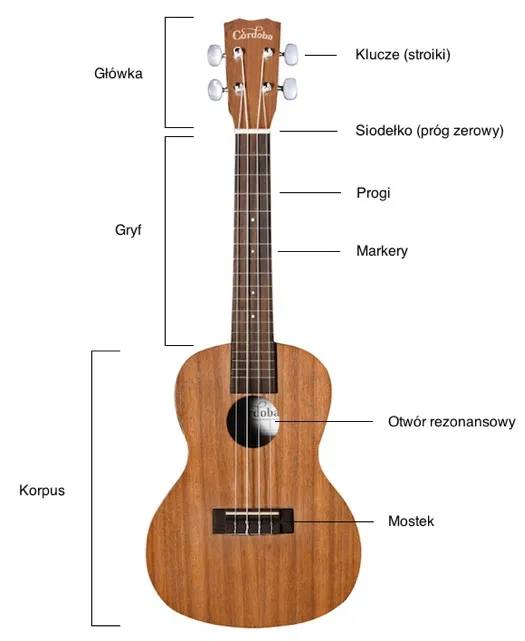 Zdjęcie Jak dobrać ukulele: 5 kluczowych czynników dla początkujących